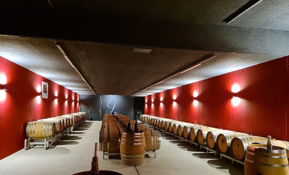 Weinkeller mit Barriquefässern und roter Wand